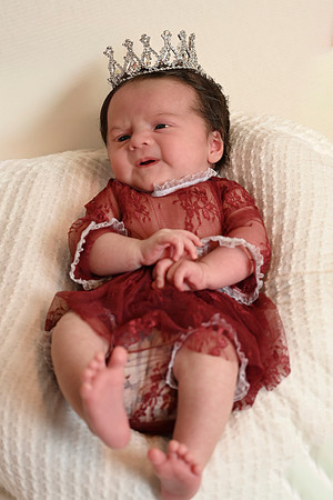 23