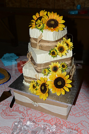 jess chris wedding 1064