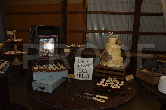 smith wedding 1016