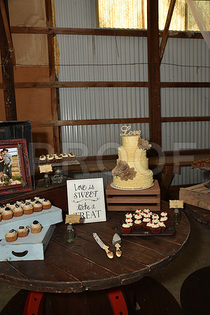 smith wedding 1070