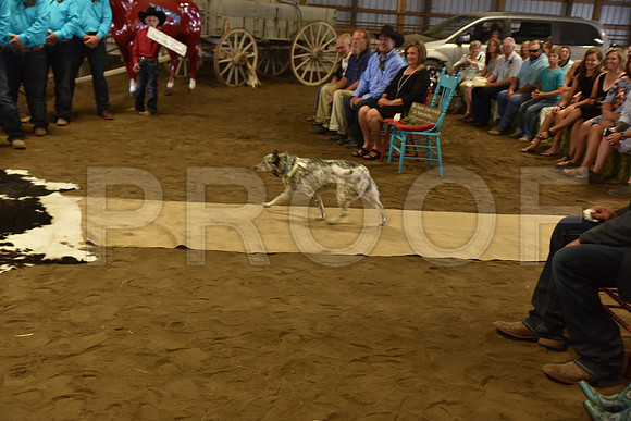 smith wedding 826