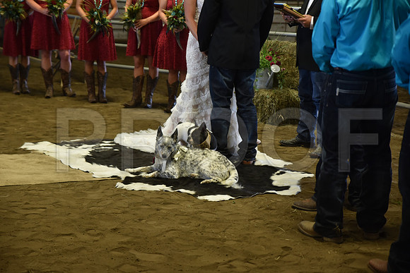 smith wedding 857